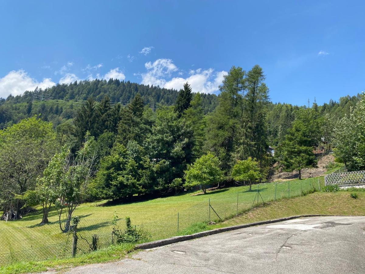 Casa Belvedere Pieve di Cadore Bagian luar foto